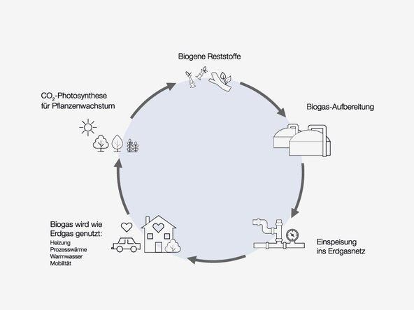 Infografik Kreislauf Biogas